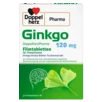 DoppelherzPharma Ginkgo DoppelherzPharma 120 mg Filmtabletten Frontansicht