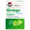 Ginkgo DoppelherzPharma 120 mg Filmtabletten