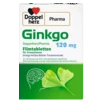 DoppelherzPharma Ginkgo DoppelherzPharma 120 mg Filmtabletten Rückansicht