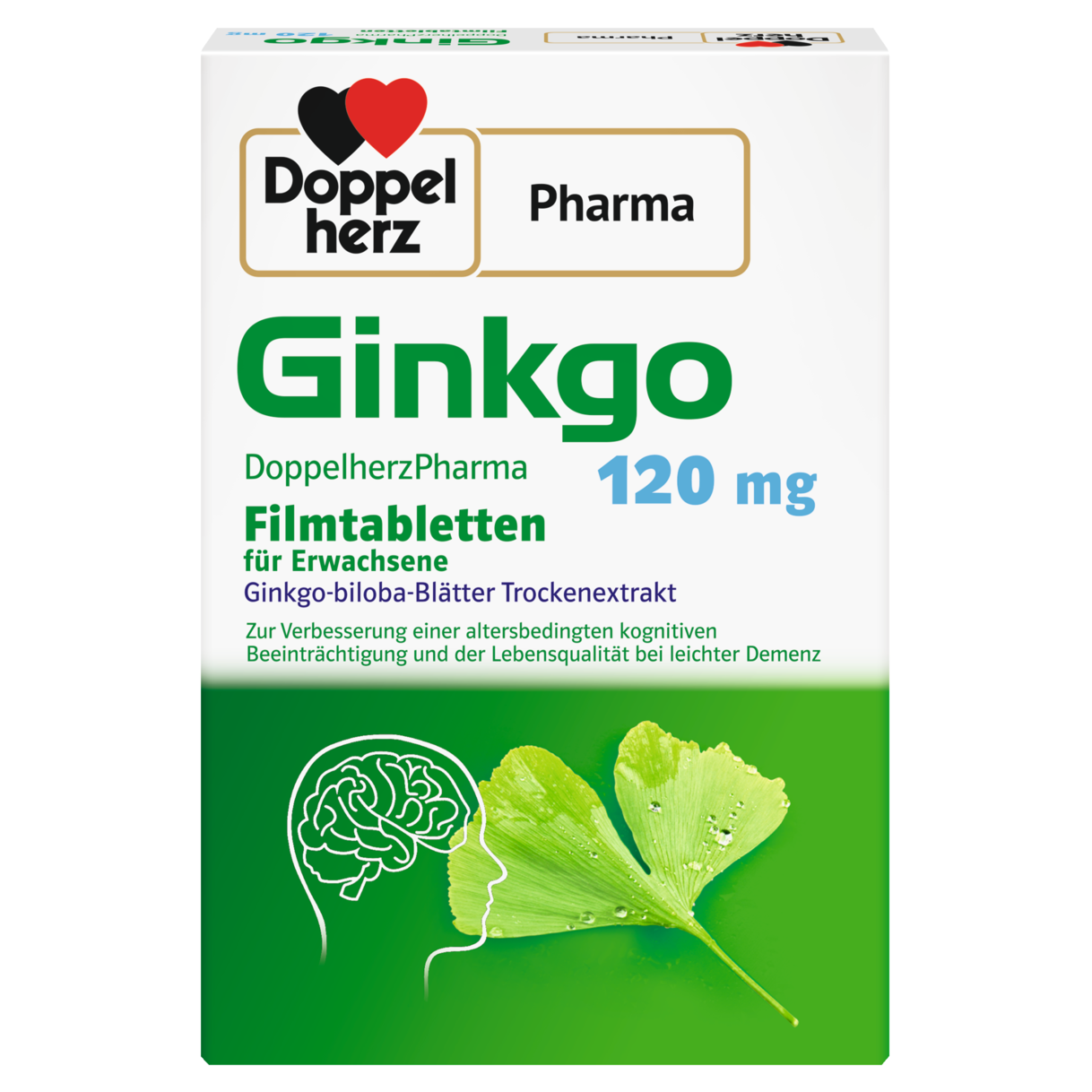 Ginkgo DoppelherzPharma 120 mg Filmtabletten