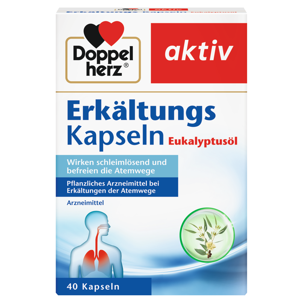 Erkältungs Kapseln Eukalyptusöl