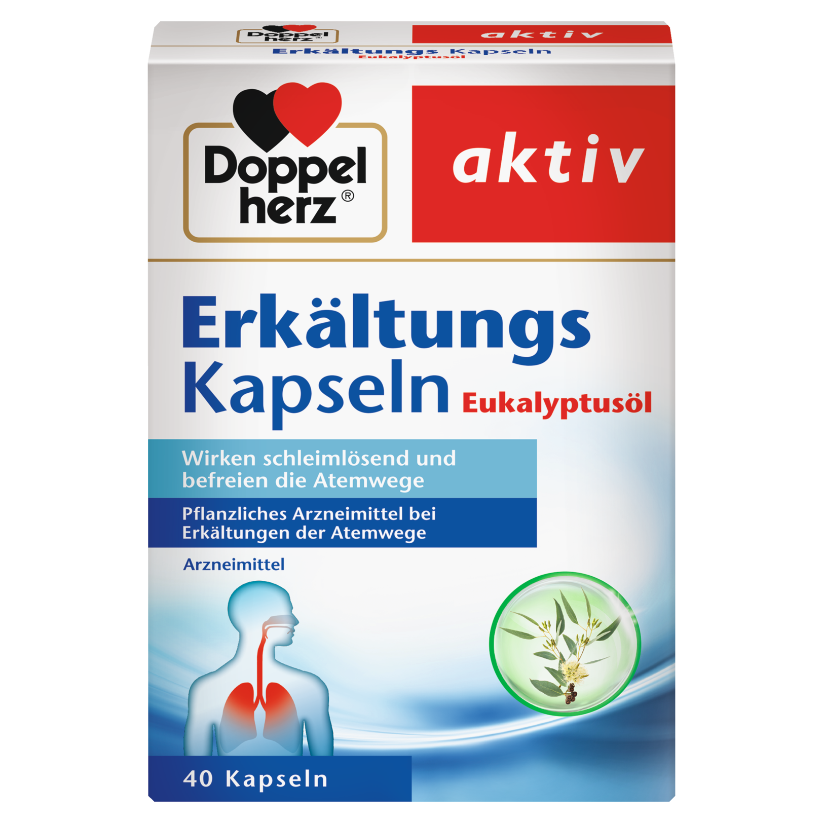 Erkältungs Kapseln Eukalyptusöl
