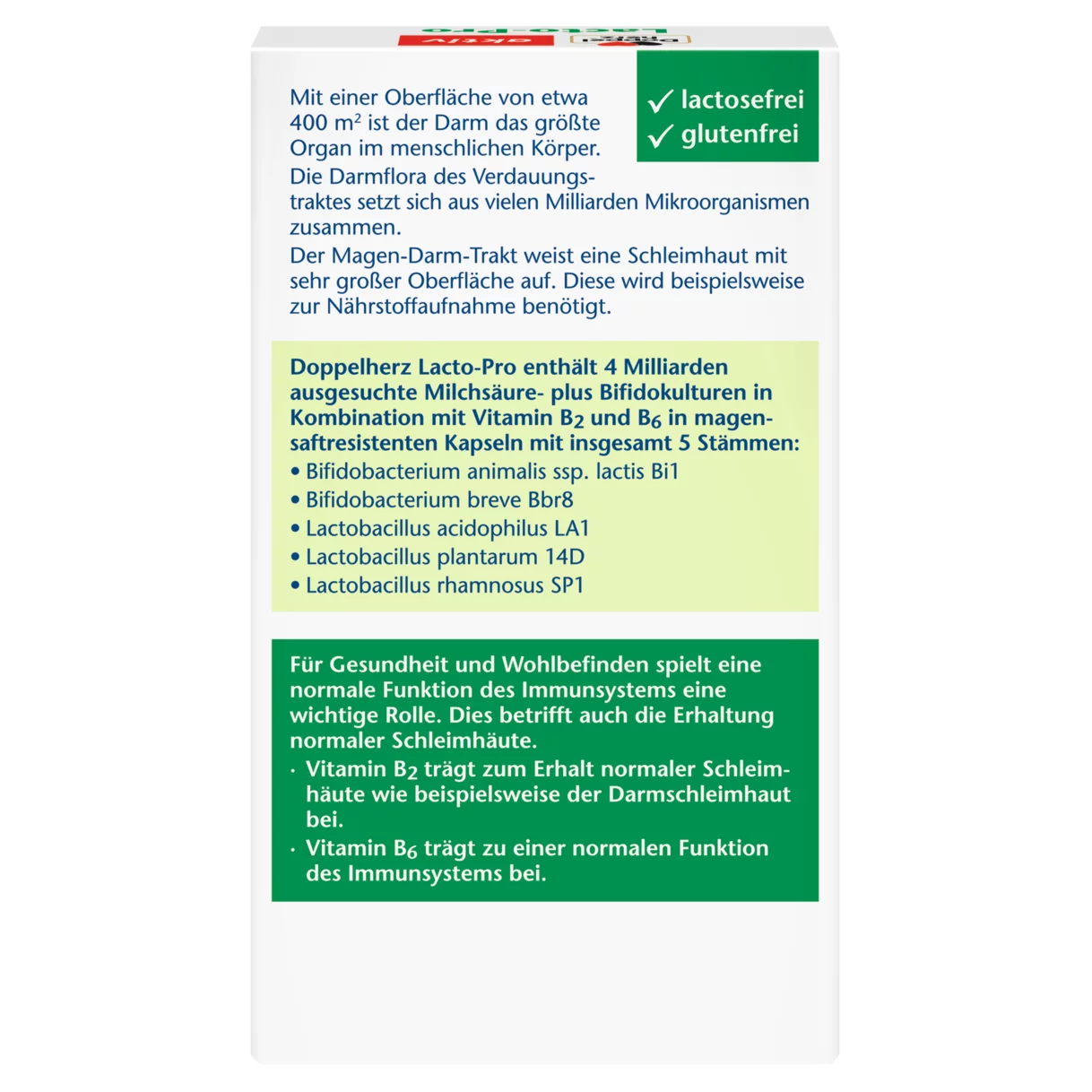 Doppelherz aktiv Lacto-Pro Rückansicht