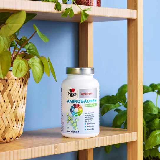 Produkt steht im Regal gemeinsam mit ein paar Pflanzen