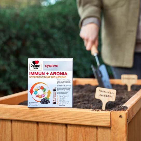 Doppelherz system Immun + Aronia auf Beetkante