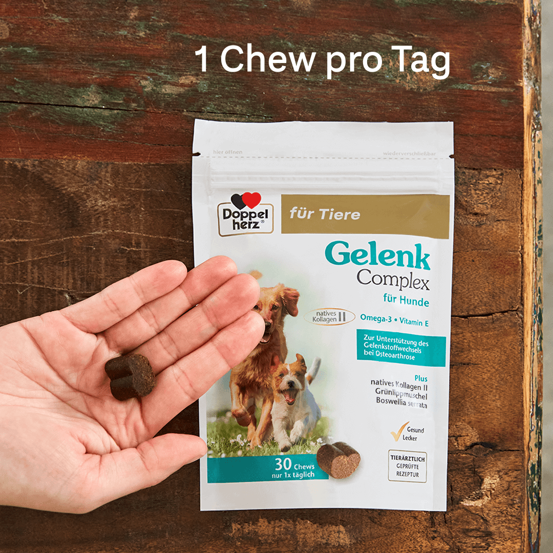 Gelenk Complex für Hunde