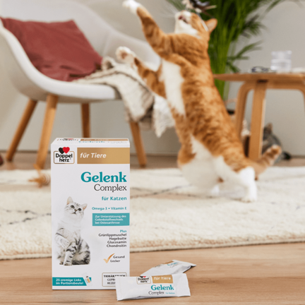 Gelenk Complex für Katzen