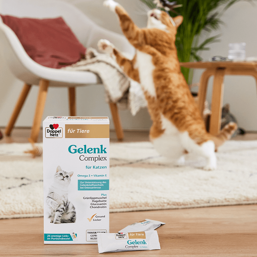 Gelenk Complex für Katzen