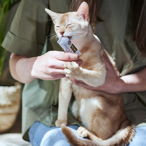 Doppelherz Haut Fell Complex für Katzen Produkt wird von einer Katze gegessen 