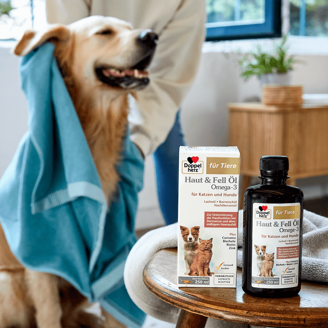 Haut & Fell Öl Omega-3 für Katzen und Hunde