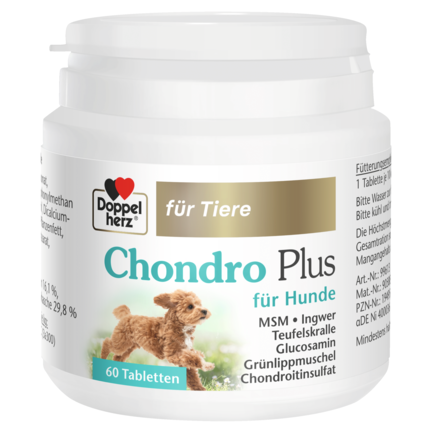 Abbildung der Produktverpackung Doppelherz für Tiere Chondro Plus für Hunde Frontansicht